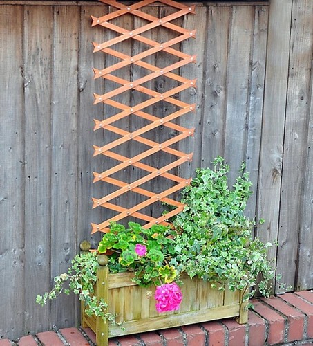 6ft wooden garden trellis - 6ft,